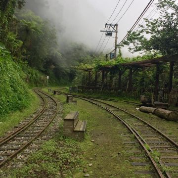阿里山 檸檬愛玉