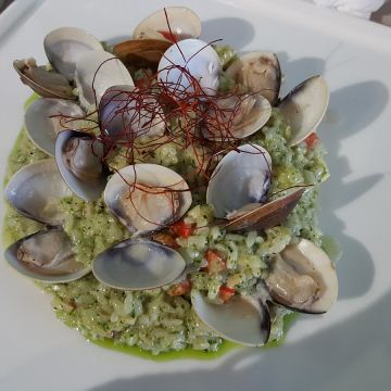 雨猫咖啡。米猫 Rainy cat cafe