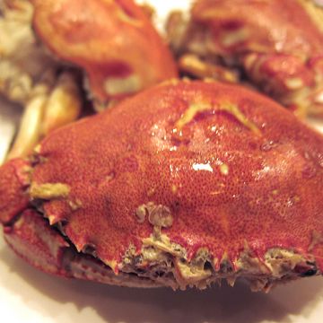 青葉新樂園 Chingye-shinleyuan（台北中正店）