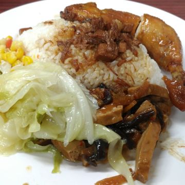 波霸紅燒雞腿飯