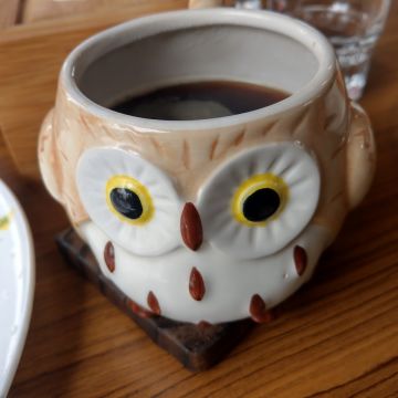 貓頭鷹藝品咖啡館 Coolife Owl