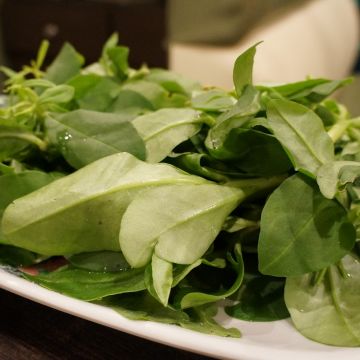 天香回味（桃園店）