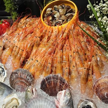 真膳美饌百食匯（台中北區店）