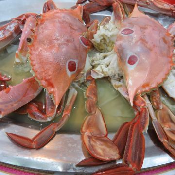 A14珍味生猛海鮮