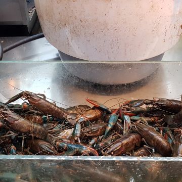 捌柒海產粥（台南東區店）