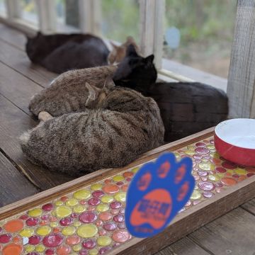 天空之城(天堂古堡)