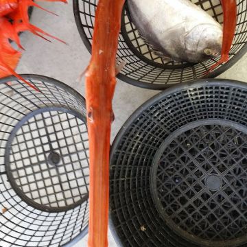 東港品香圓海產城