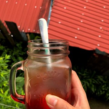 阿里山野生檸檬愛玉