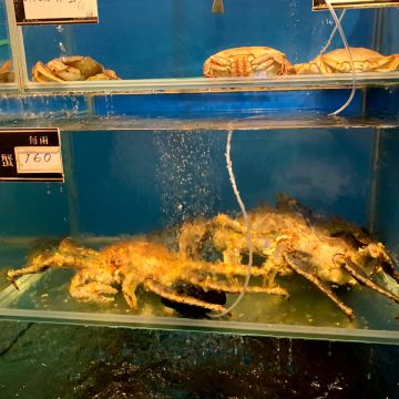 九鼎蒸霸蒸鮮料理