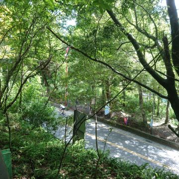 清境農場-雲南擺夷特製料理