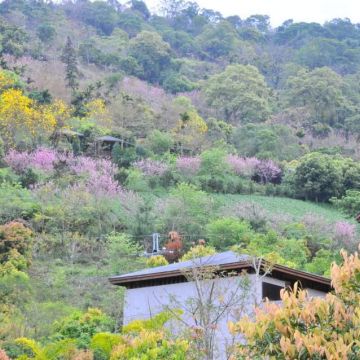 沐心泉休閒農場