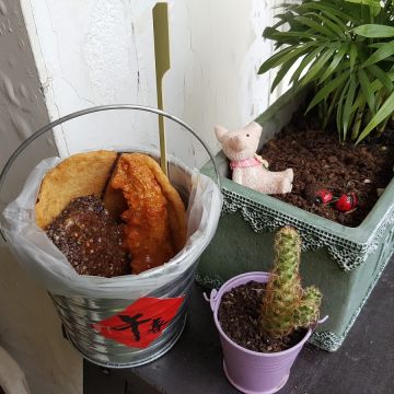 午春黑胡椒黑輪