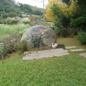 咕咕嚕博士貓頭鷹之家