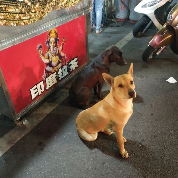 象神印度拉茶（大社店）