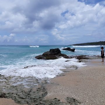 後壁湖偉哥活海鮮