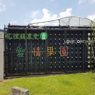 彎麗愛情果園