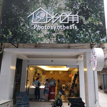 光合作用 Photosynthesis