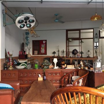 Stable Fly 穩定飛行