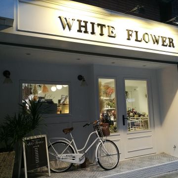 白色鯨魚 White Whale Cafe