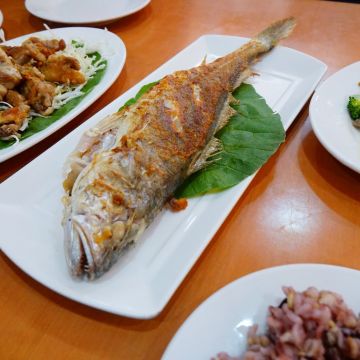 爵士魚深海魚主題館