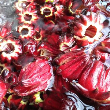 寶來山海產飯店