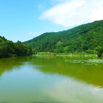 賽夏湖岸咖啡館