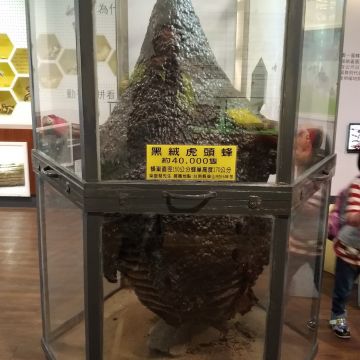 養蜂人家-蜂采館