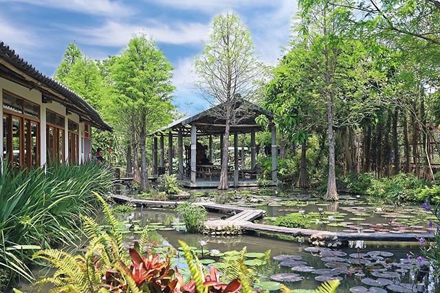 🏡【田寮農莊】🏡﻿