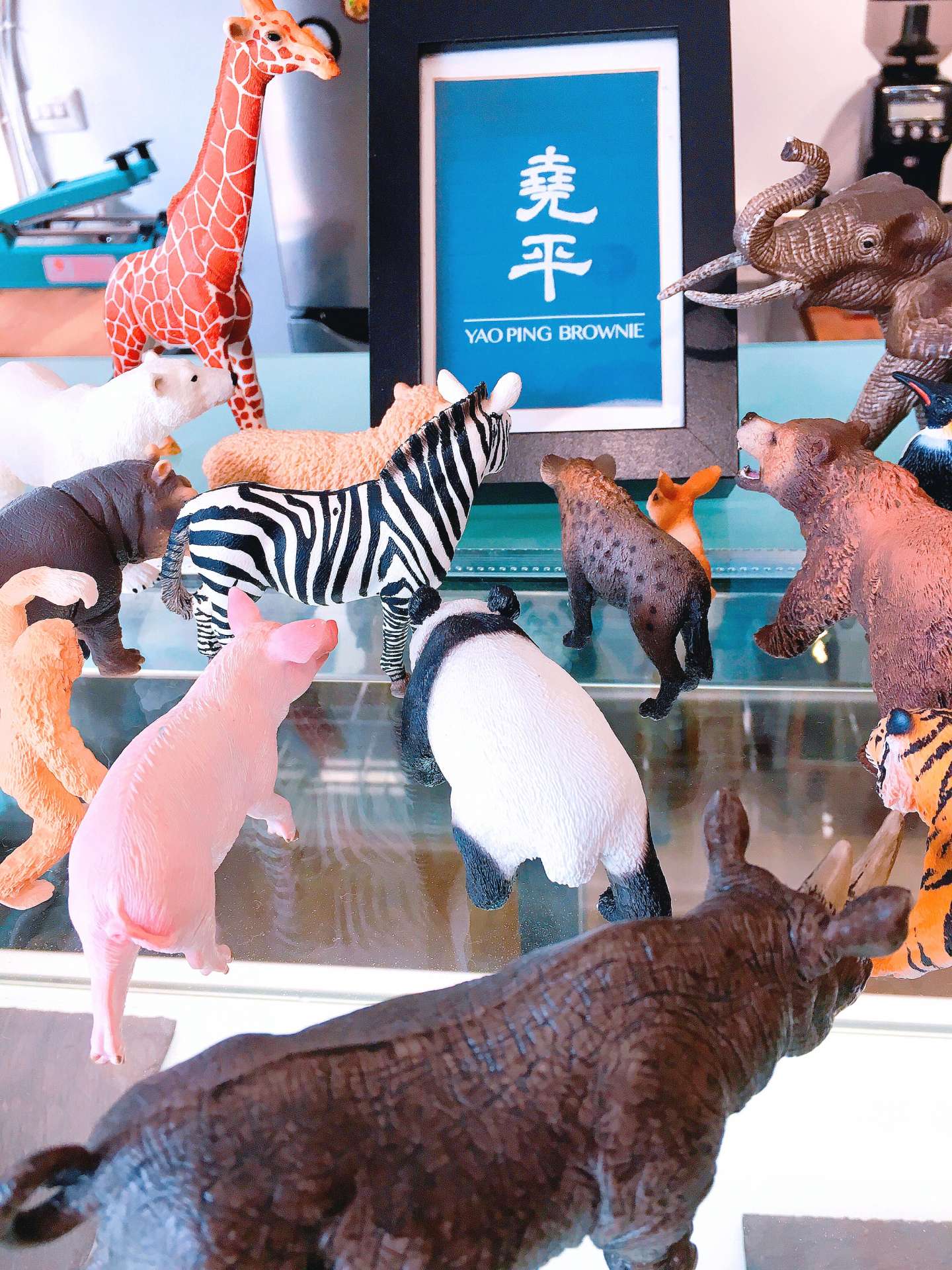 ◤ 台南 ◢ 超人氣伴手禮-布朗尼 ◎ 堯平